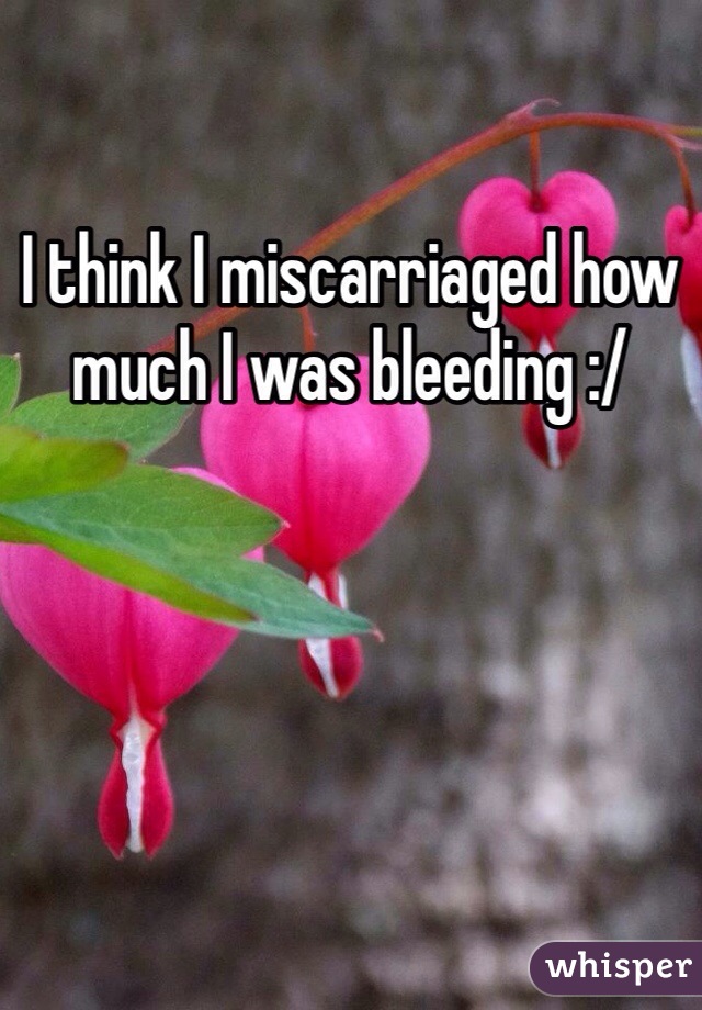 I think I miscarriaged how much I was bleeding :/