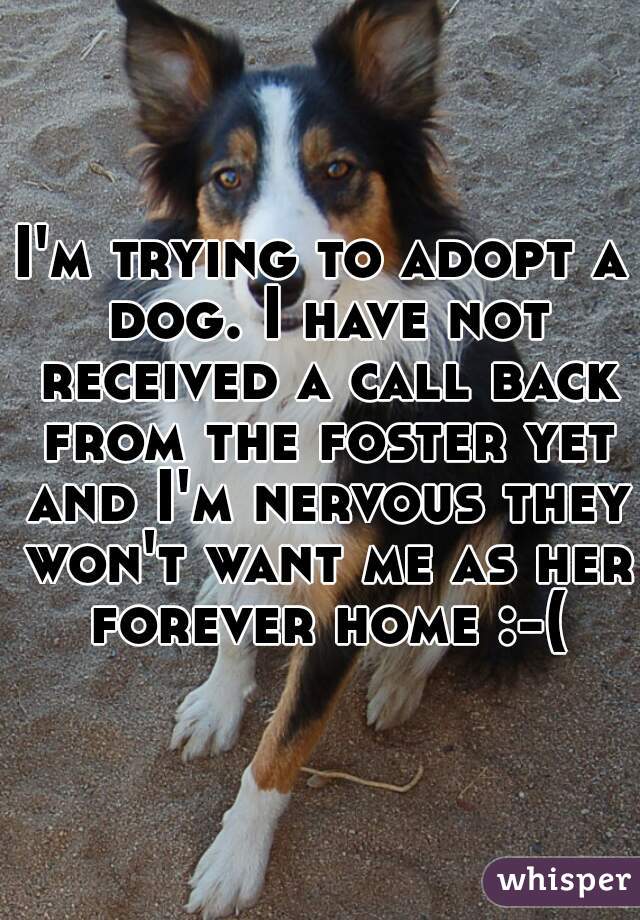 I'm trying to adopt a dog. I have not received a call back from the foster yet and I'm nervous they won't want me as her forever home :-(