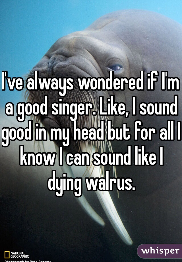 I've always wondered if I'm a good singer. Like, I sound good in my head but for all I know I can sound like I dying walrus.  