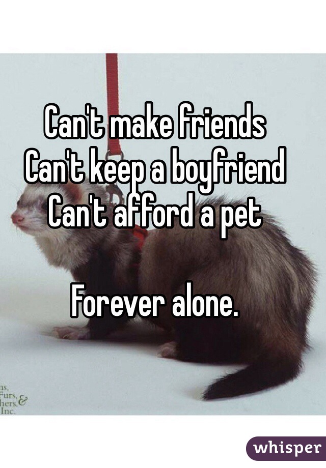 Can't make friends
Can't keep a boyfriend
Can't afford a pet

Forever alone.