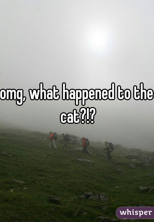 omg, what happened to the cat?!?