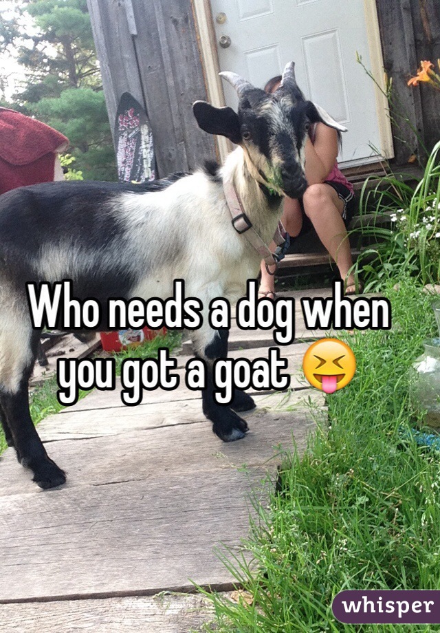 Who needs a dog when you got a goat 😝
