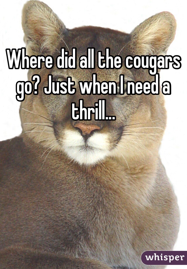 Where did all the cougars go? Just when I need a thrill...