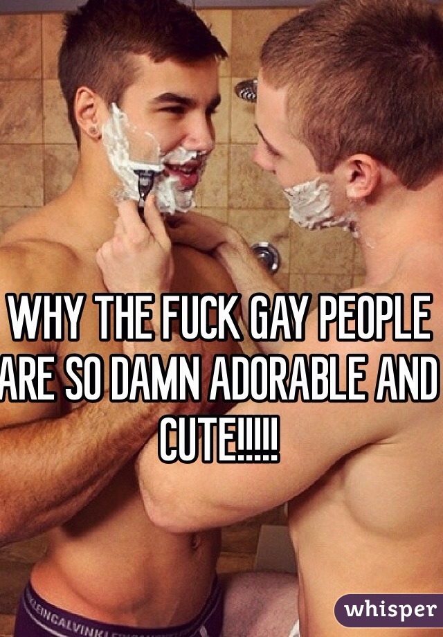WHY THE FUCK GAY PEOPLE ARE SO DAMN ADORABLE AND CUTE!!!!!