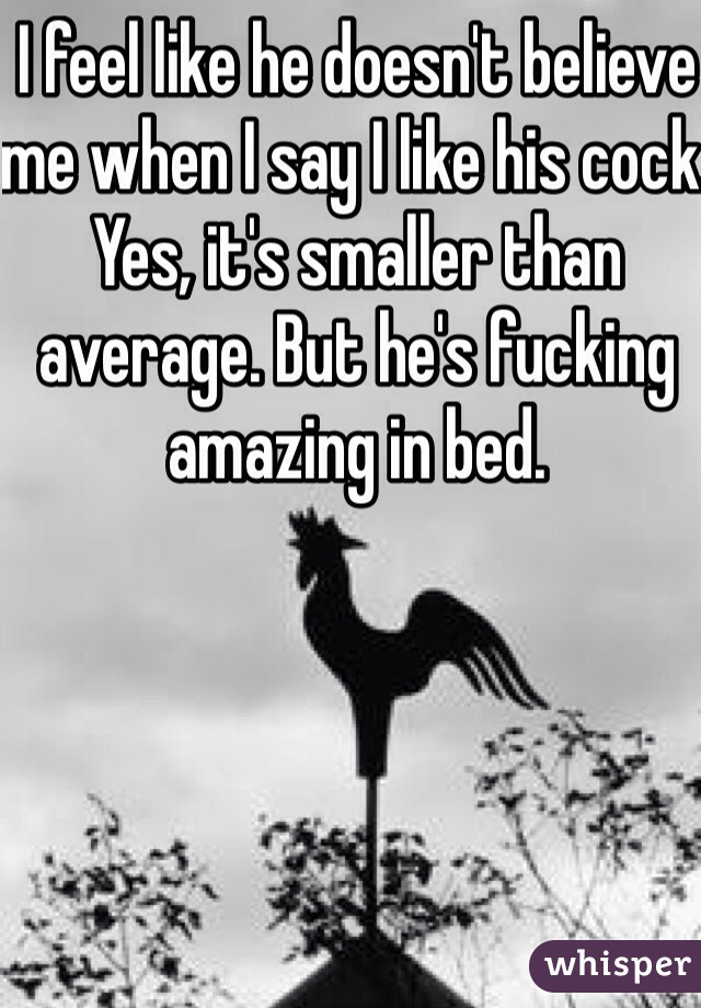 I feel like he doesn't believe me when I say I like his cock. Yes, it's smaller than average. But he's fucking amazing in bed. 