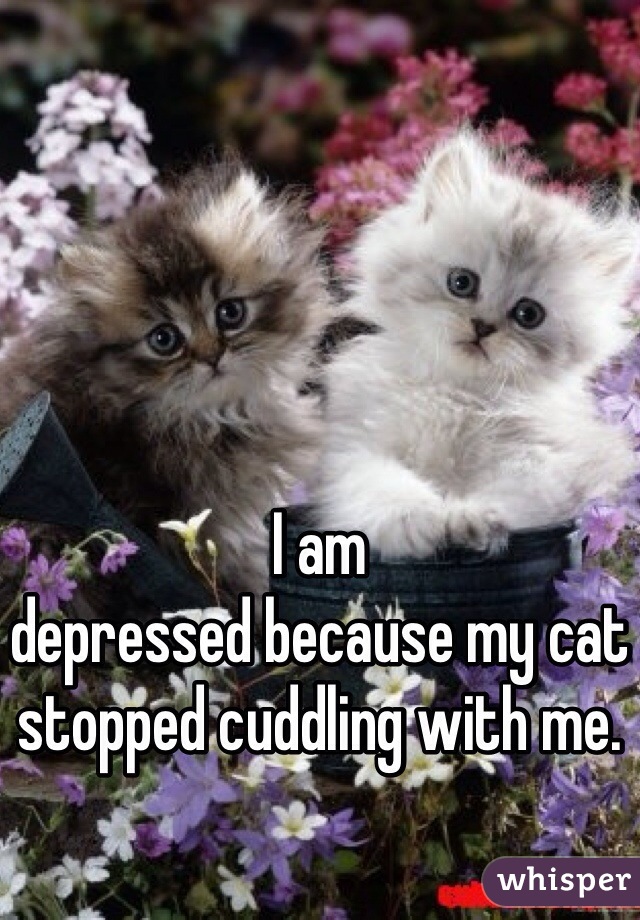 I am
depressed because my cat
stopped cuddling with me. 