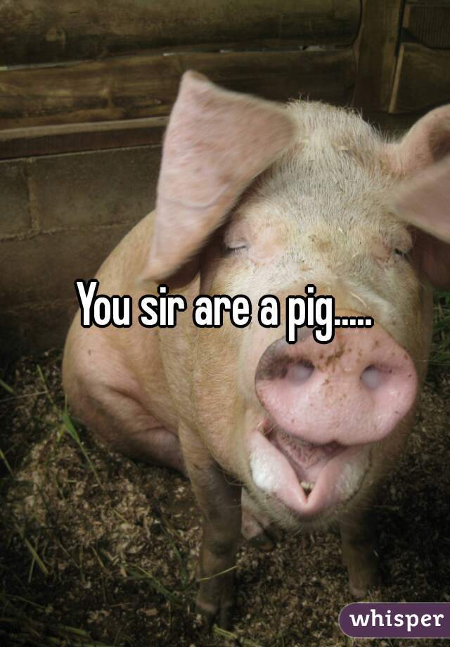 You sir are a pig.....