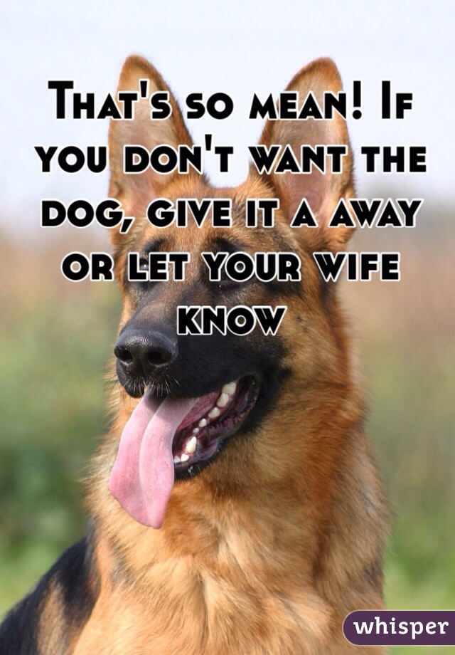 That's so mean! If you don't want the dog, give it a away or let your wife know