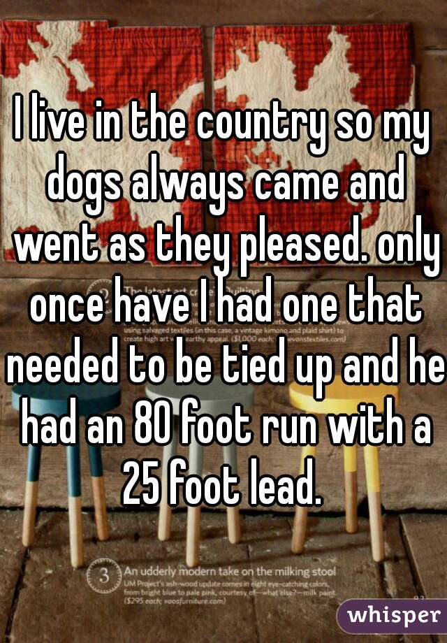 I live in the country so my dogs always came and went as they pleased. only once have I had one that needed to be tied up and he had an 80 foot run with a 25 foot lead. 