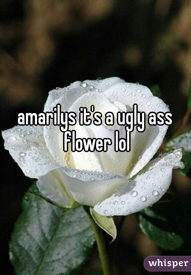 amarilys it's a ugly ass flower lol