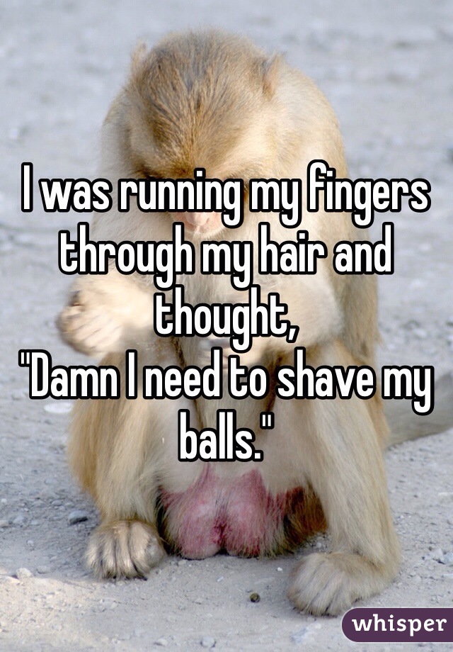 I was running my fingers through my hair and thought,
"Damn I need to shave my balls."