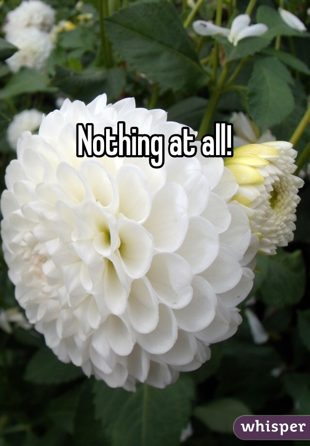 Nothing at all!