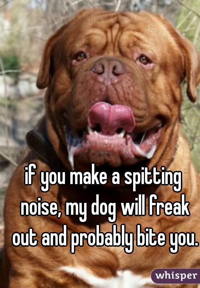 if you make a spitting noise, my dog will freak out and probably bite you.