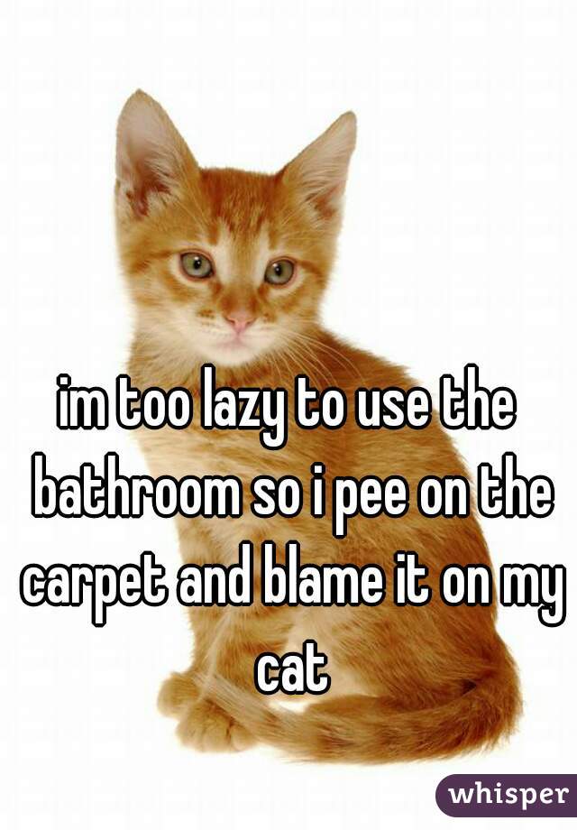 im too lazy to use the bathroom so i pee on the carpet and blame it on my cat