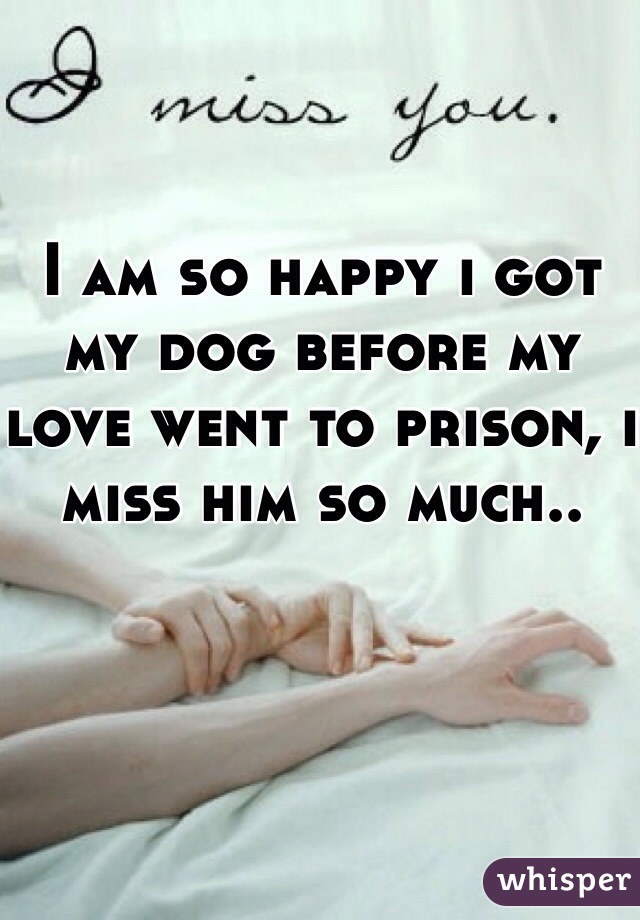I am so happy i got my dog before my love went to prison, i miss him so much.. 