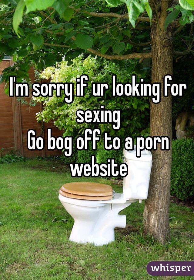 I'm sorry if ur looking for sexing 
Go bog off to a porn website 