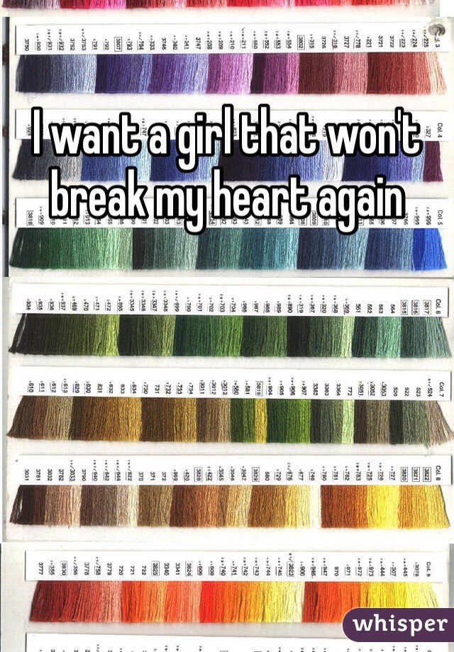 I want a girl that won't break my heart again 