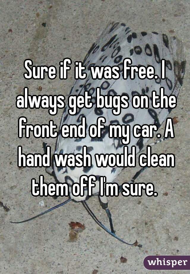 Sure if it was free. I always get bugs on the front end of my car. A hand wash would clean them off I'm sure. 