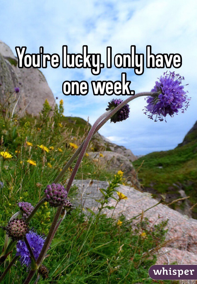 You're lucky. I only have one week.