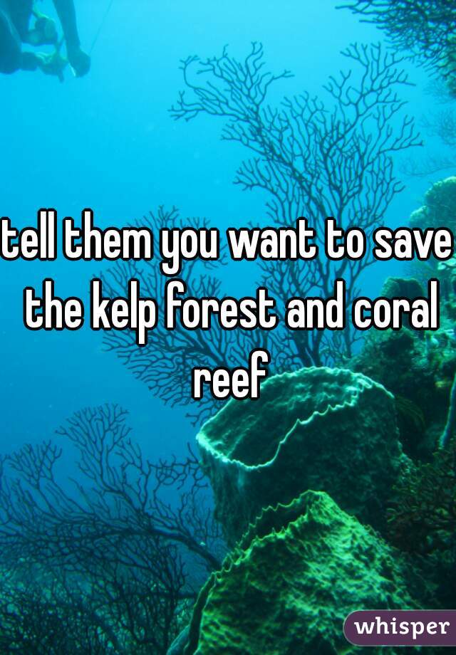 tell them you want to save the kelp forest and coral reef