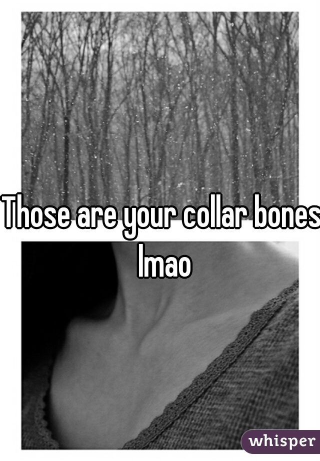 Those are your collar bones lmao