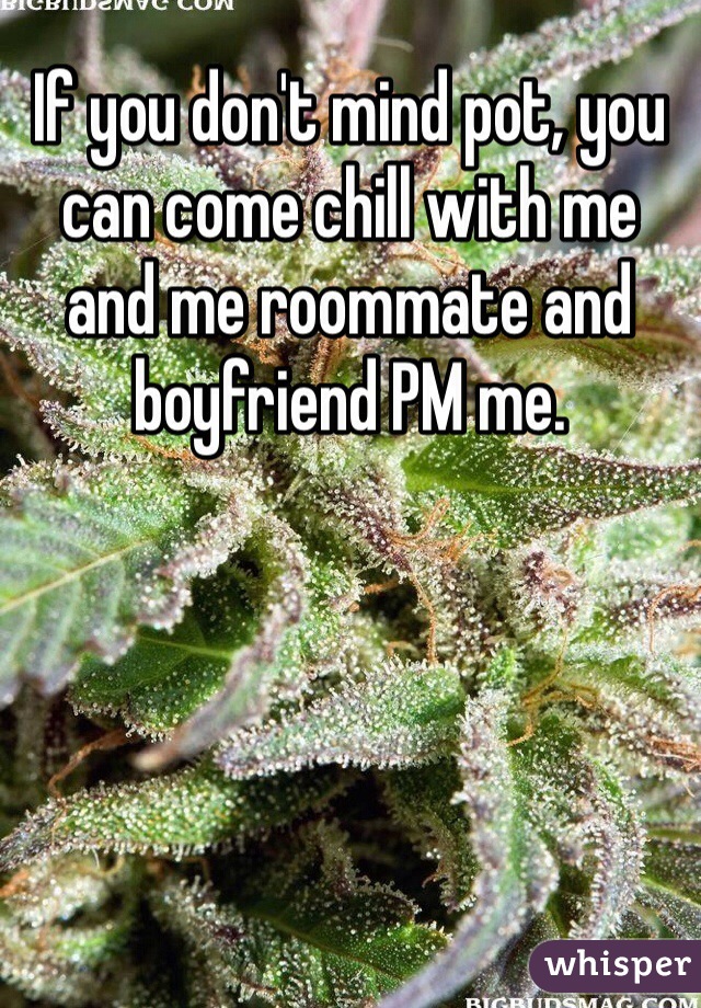 If you don't mind pot, you can come chill with me and me roommate and boyfriend PM me.
