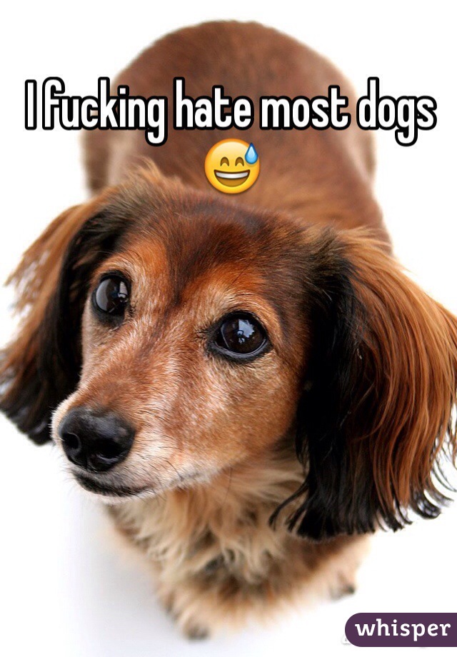 I fucking hate most dogs 😅