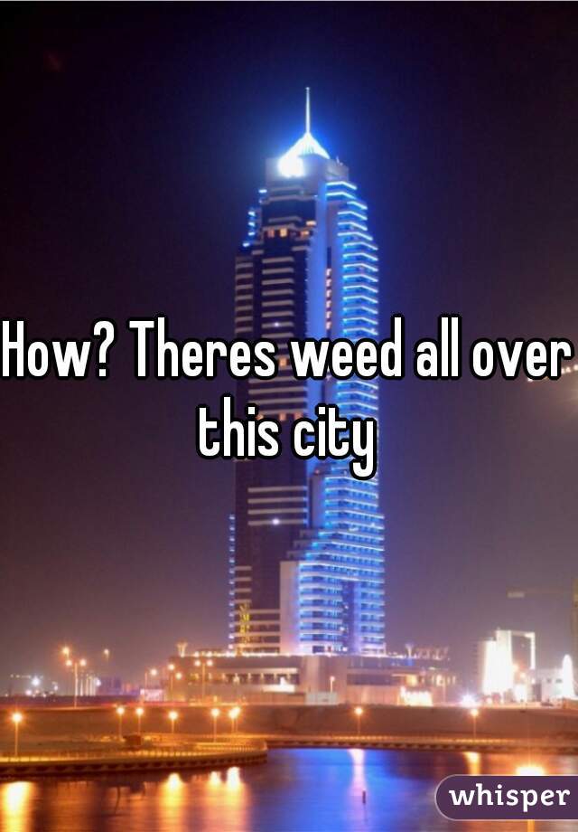 How? Theres weed all over this city 