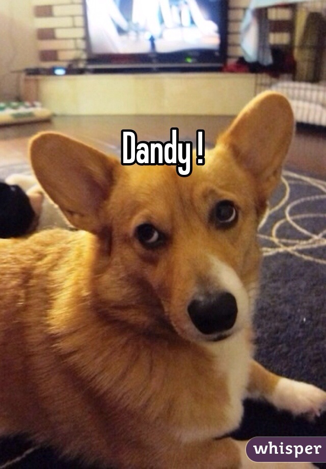 Dandy !