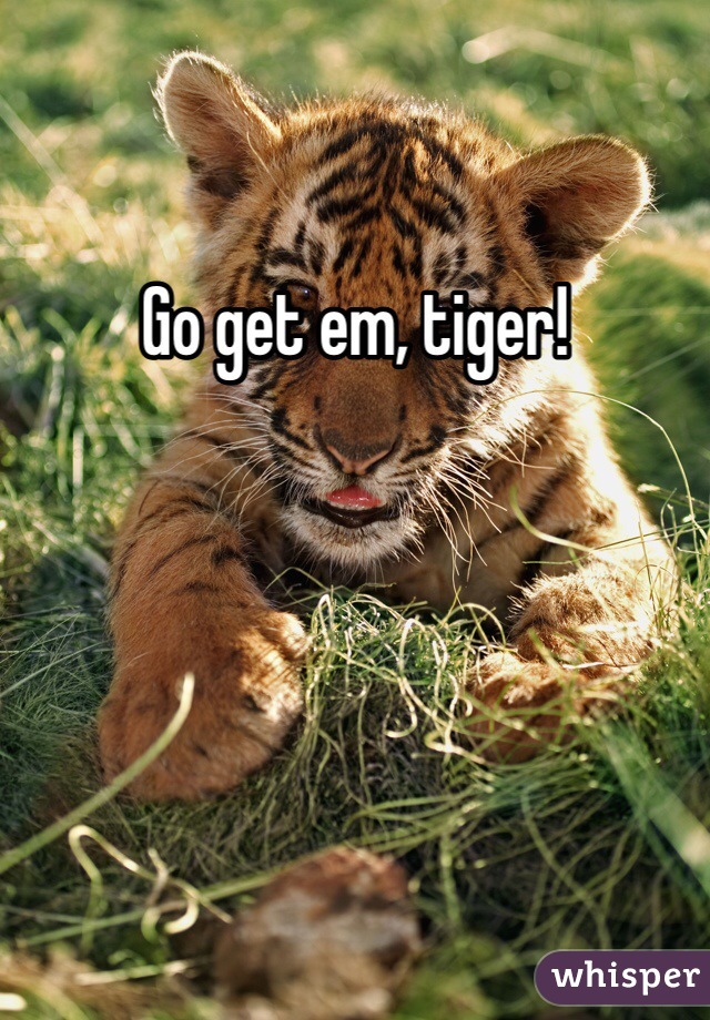 Go get em, tiger!