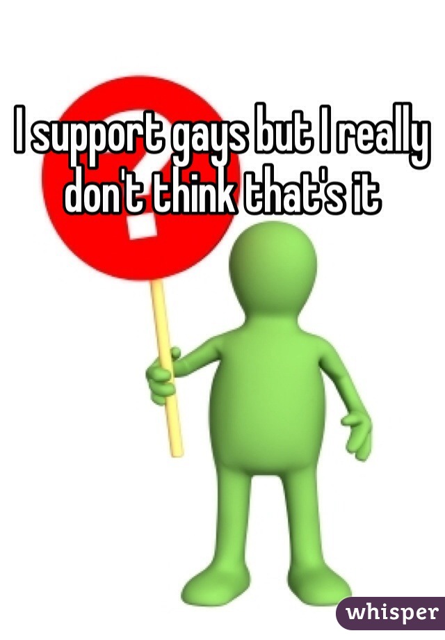 I support gays but I really don't think that's it