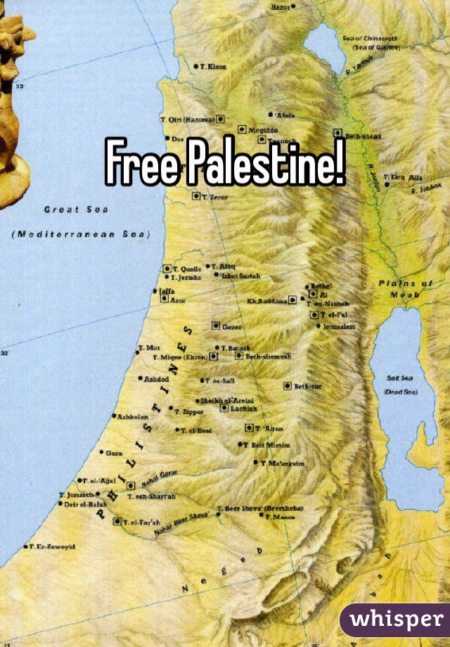 Free Palestine! 