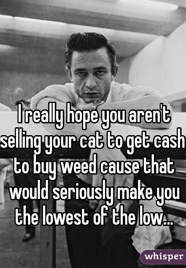 I really hope you aren't selling your cat to get cash to buy weed cause that would seriously make you the lowest of the low...