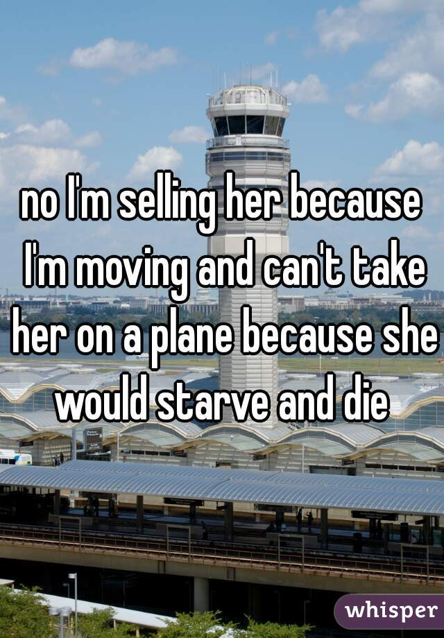 no I'm selling her because I'm moving and can't take her on a plane because she would starve and die 