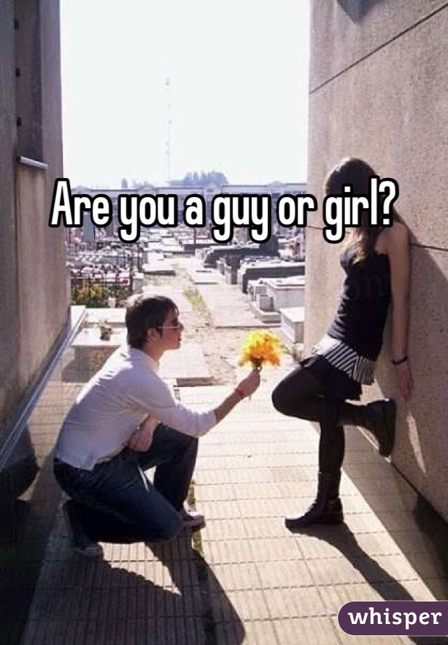 Are you a guy or girl?