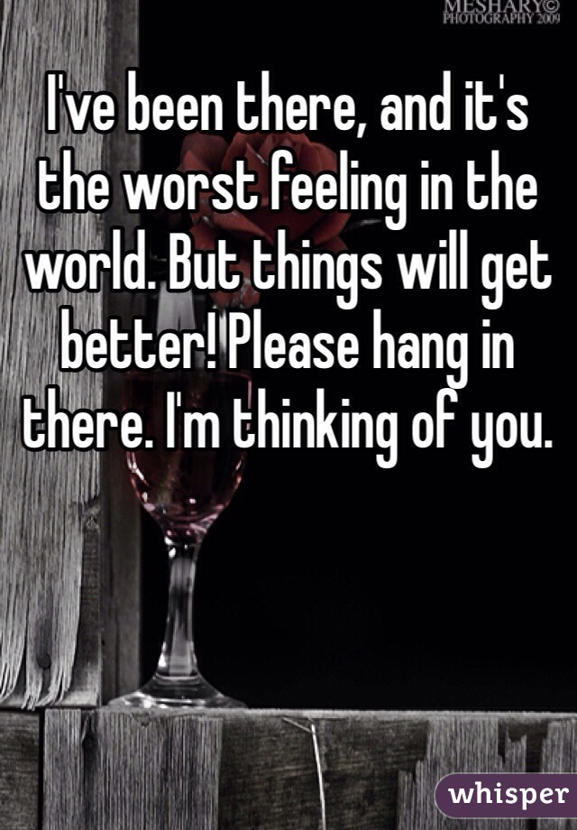 I've been there, and it's the worst feeling in the world. But things will get better! Please hang in there. I'm thinking of you.