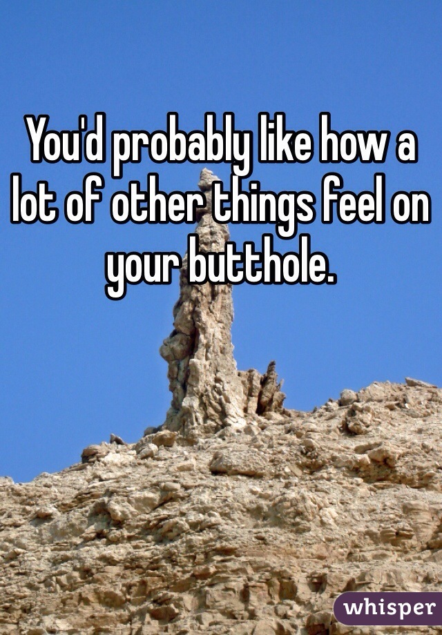 You'd probably like how a lot of other things feel on your butthole. 