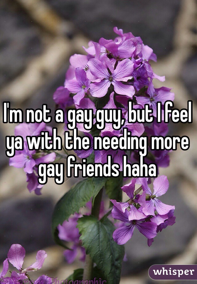 I'm not a gay guy, but I feel ya with the needing more gay friends haha