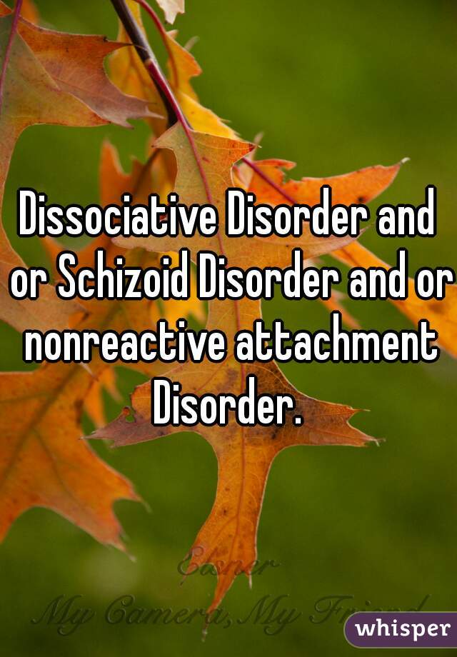 Dissociative Disorder and or Schizoid Disorder and or nonreactive attachment Disorder. 