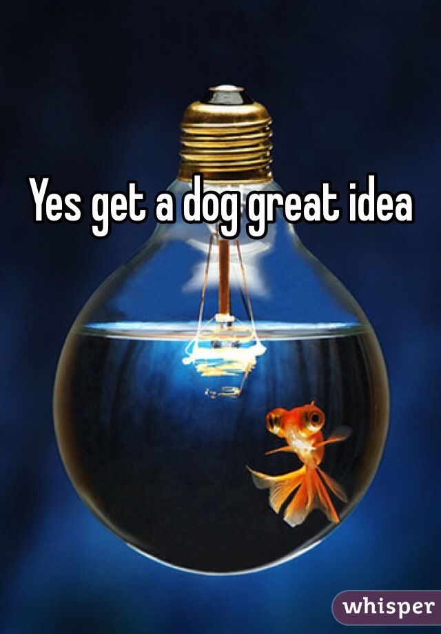 Yes get a dog great idea