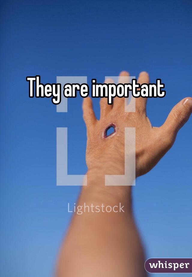 They are important 