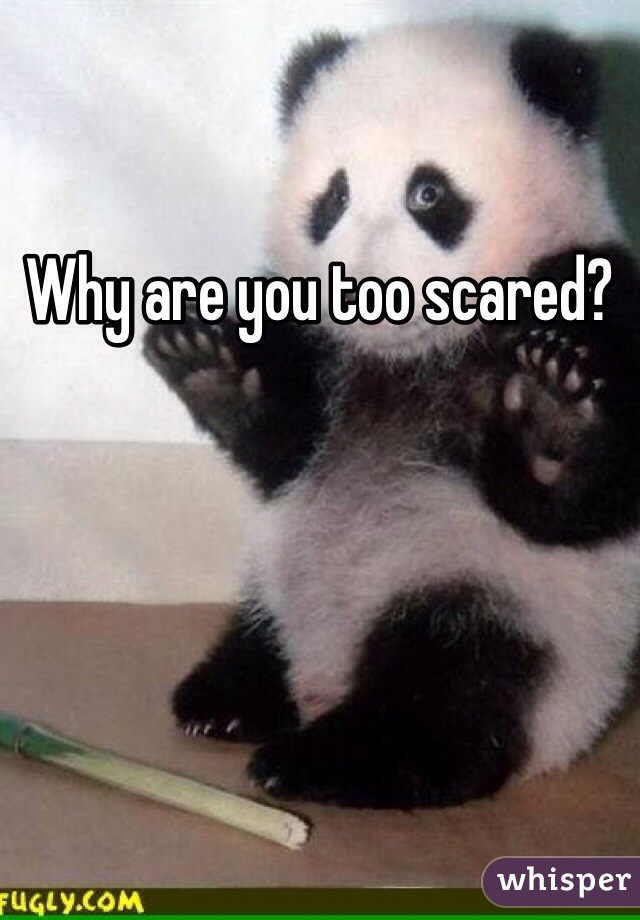 Why are you too scared?