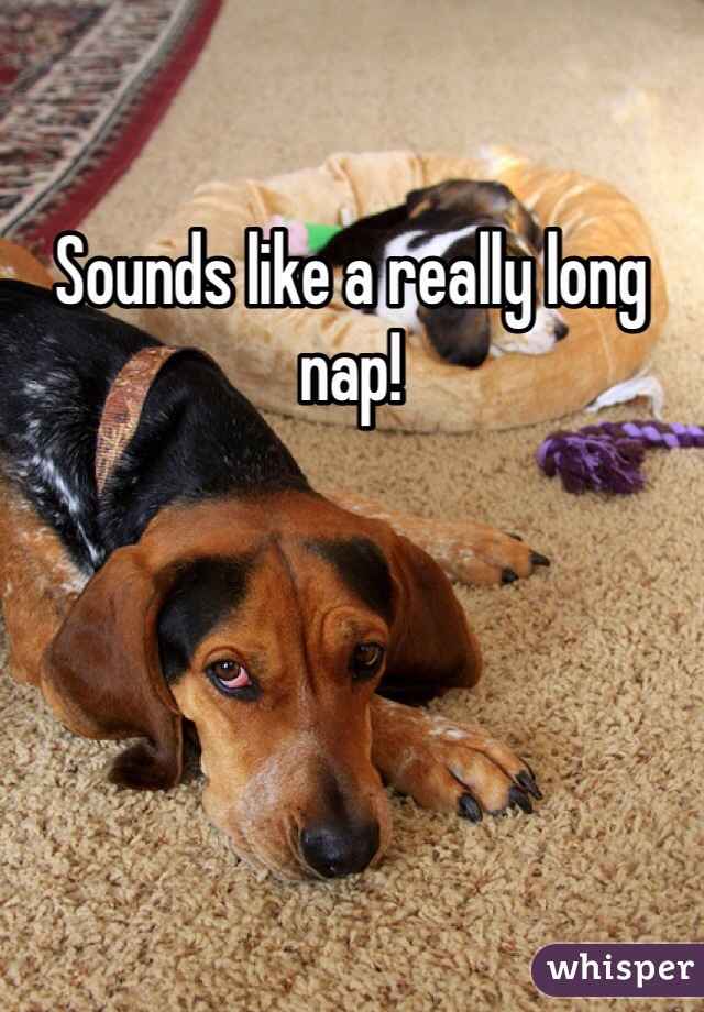 Sounds like a really long nap!