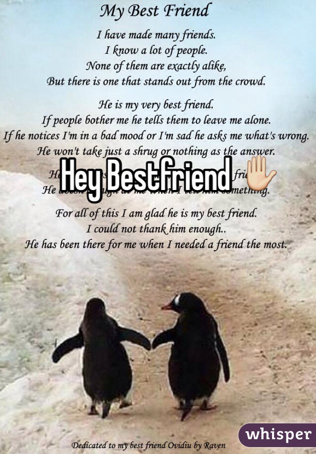 Hey Bestfriend ✋