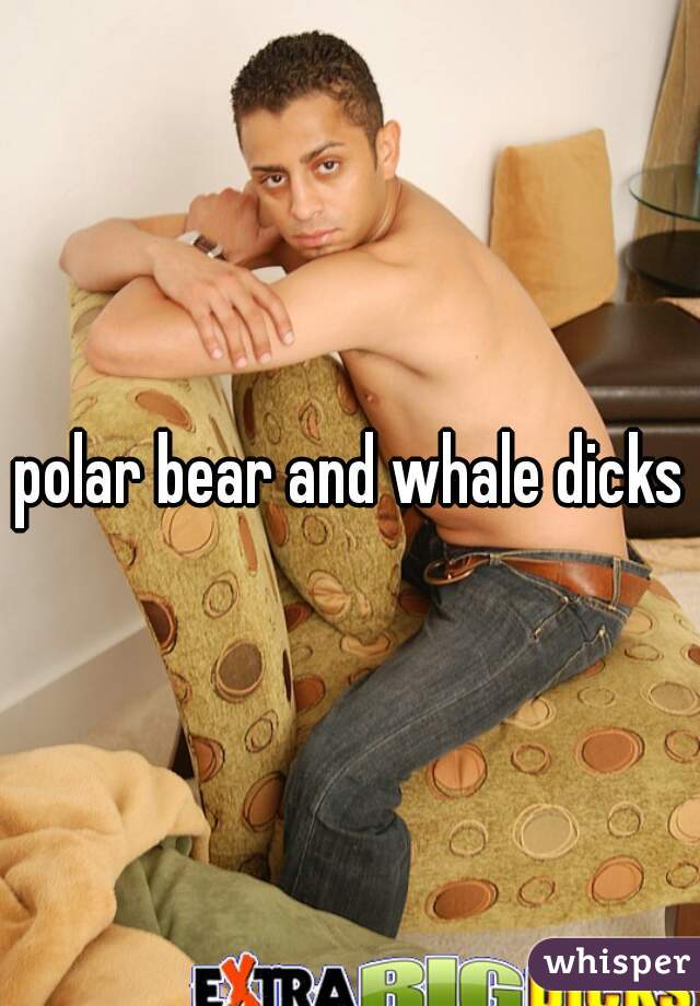 polar bear and whale dicks