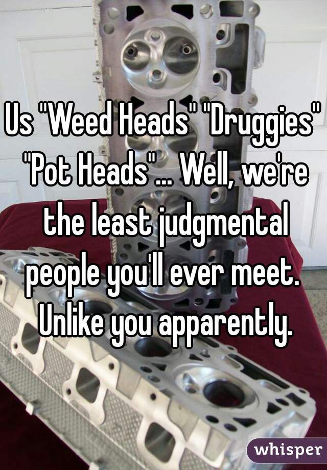 Us "Weed Heads" "Druggies" "Pot Heads"... Well, we're the least judgmental people you'll ever meet.  Unlike you apparently.