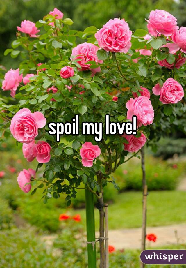 spoil my love!