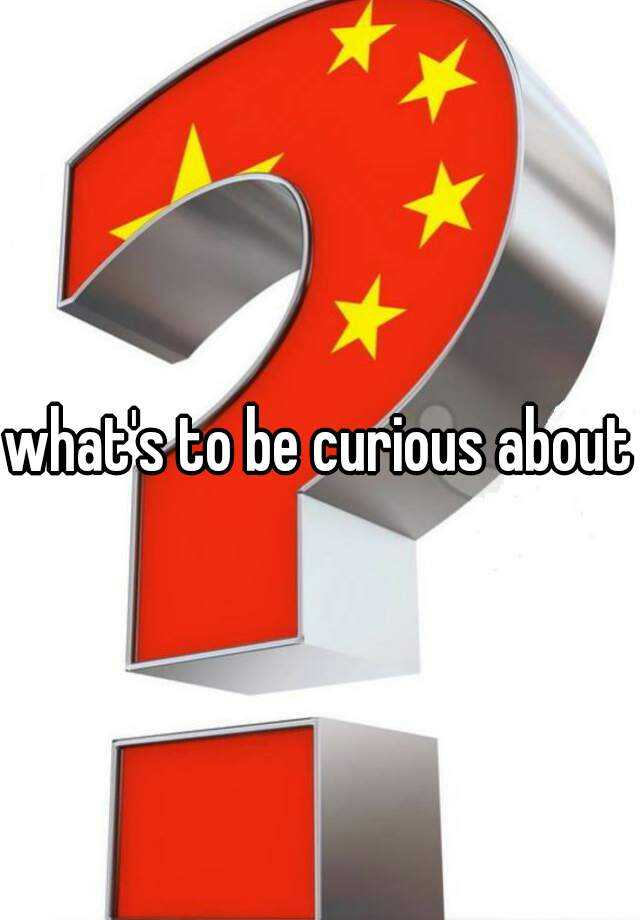 what-s-to-be-curious-about