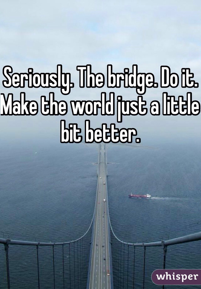 Seriously. The bridge. Do it.
Make the world just a little bit better.
