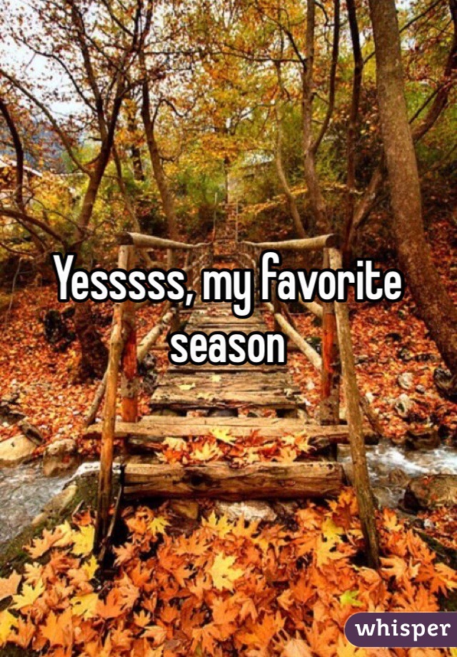 Yesssss, my favorite season